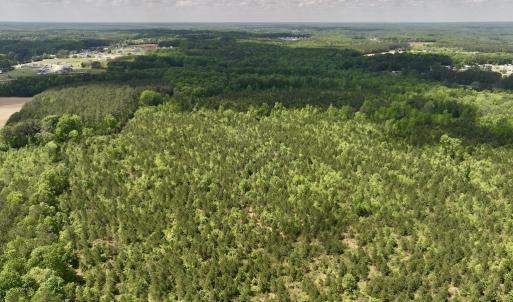 Photo #24 of SOLD property in Off Buck Rd, Middlesex, NC 98.0 acres