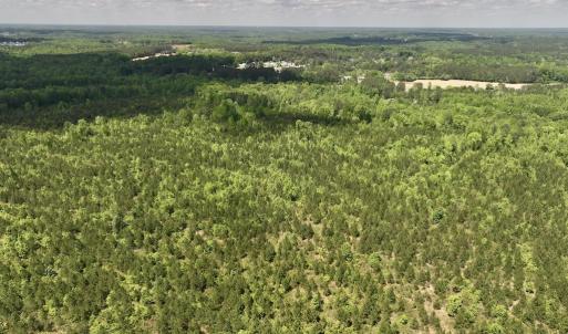 Photo #26 of SOLD property in Off Buck Rd, Middlesex, NC 98.0 acres