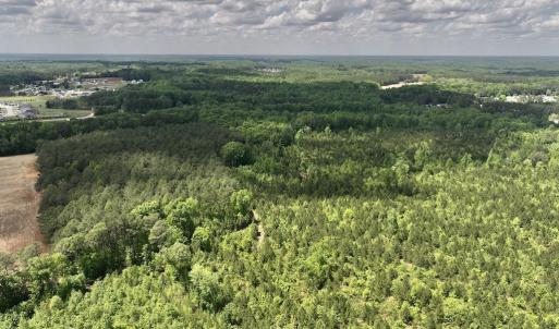 Photo #28 of SOLD property in Off Buck Rd, Middlesex, NC 98.0 acres