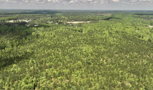 Photo #30 of SOLD property in Off Buck Rd, Middlesex, NC 98.0 acres