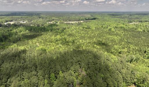Photo #32 of SOLD property in Off Buck Rd, Middlesex, NC 98.0 acres