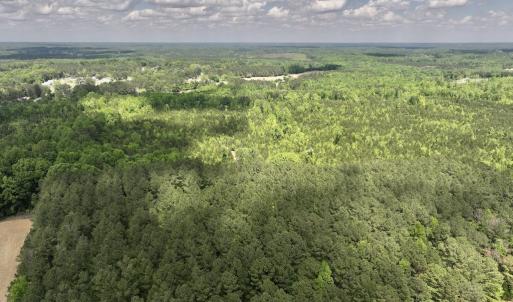 Photo #34 of SOLD property in Off Buck Rd, Middlesex, NC 98.0 acres