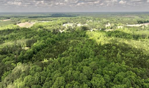 Photo #36 of SOLD property in Off Buck Rd, Middlesex, NC 98.0 acres
