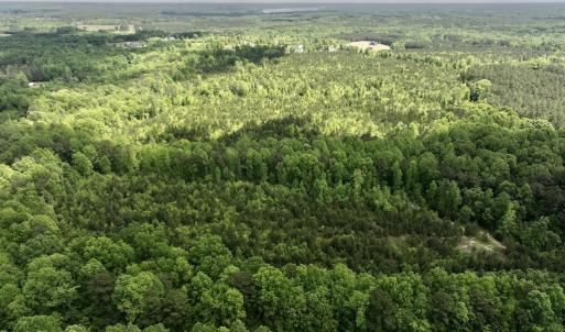 Photo #4 of SOLD property in Off Buck Rd, Middlesex, NC 98.0 acres