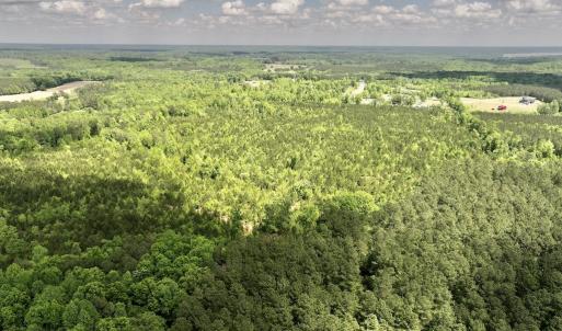Photo #38 of SOLD property in Off Buck Rd, Middlesex, NC 98.0 acres