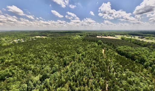 Photo #44 of SOLD property in Off Buck Rd, Middlesex, NC 98.0 acres