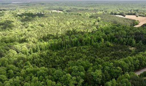 Photo #6 of SOLD property in Off Buck Rd, Middlesex, NC 98.0 acres