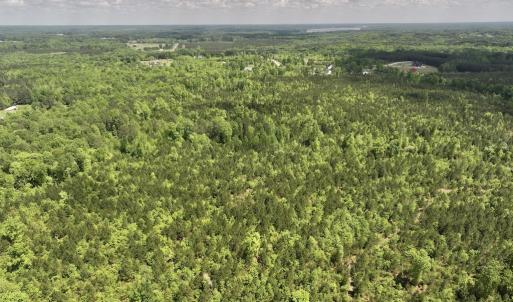 Photo #48 of SOLD property in Off Buck Rd, Middlesex, NC 98.0 acres