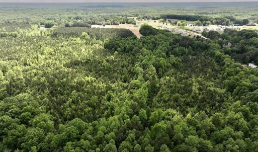 Photo #10 of SOLD property in Off Buck Rd, Middlesex, NC 98.0 acres