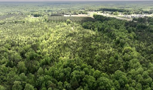 Photo #12 of SOLD property in Off Buck Rd, Middlesex, NC 98.0 acres