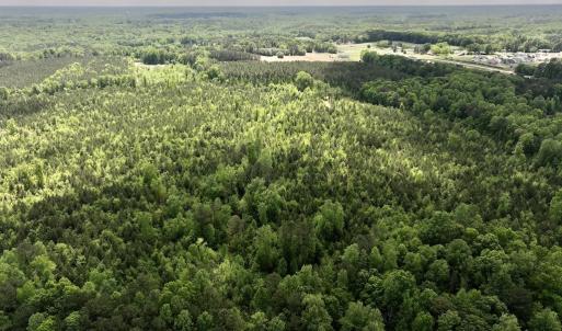 Photo #14 of SOLD property in Off Buck Rd, Middlesex, NC 98.0 acres