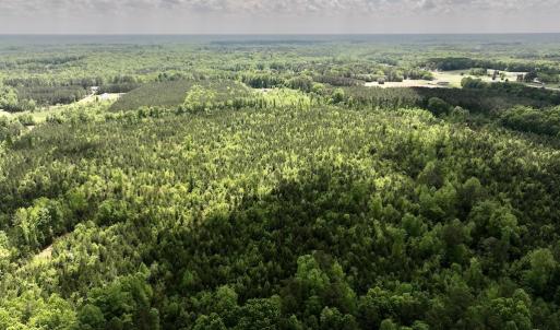 Photo #16 of SOLD property in Off Buck Rd, Middlesex, NC 98.0 acres