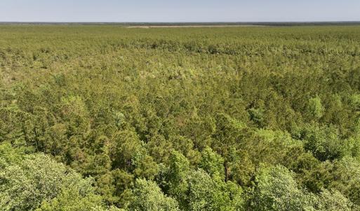 Photo #2 of Off George Road, Havelock, NC 10.4 acres