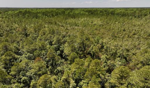Photo #11 of SOLD property in Off George Road, Havelock, NC 10.4 acres