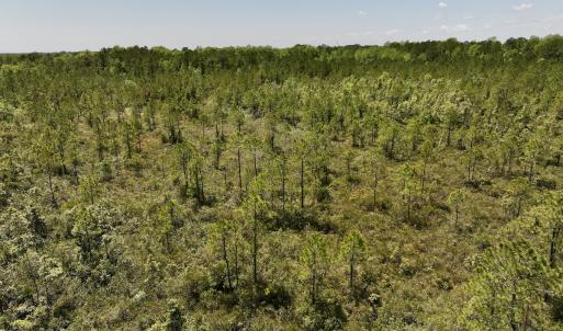 Photo #12 of SOLD property in Off George Road, Havelock, NC 10.4 acres