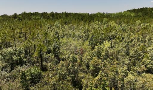 Photo #13 of SOLD property in Off George Road, Havelock, NC 10.4 acres