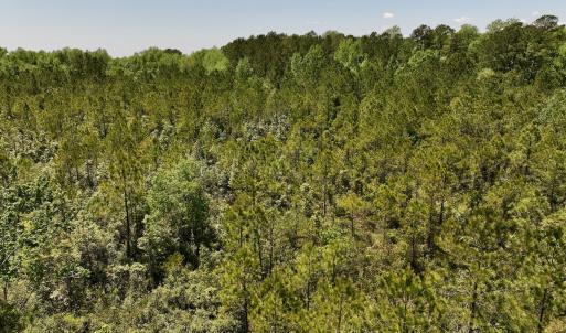Photo #15 of Off George Road, Havelock, NC 10.4 acres