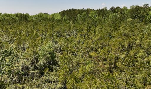 Photo #15 of SOLD property in Off George Road, Havelock, NC 10.4 acres