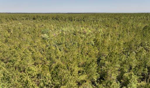 Photo #16 of SOLD property in Off George Road, Havelock, NC 10.4 acres