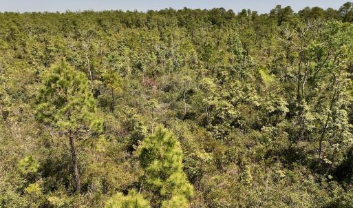 Photo #17 of SOLD property in Off George Road, Havelock, NC 10.4 acres