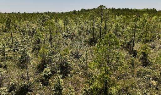 Photo #18 of SOLD property in Off George Road, Havelock, NC 10.4 acres