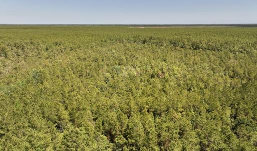 Photo #3 of SOLD property in Off George Road, Havelock, NC 10.4 acres