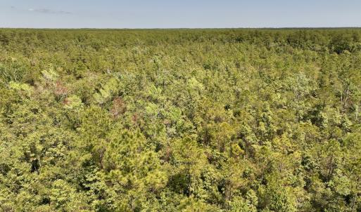 Photo #5 of Off George Road, Havelock, NC 10.4 acres