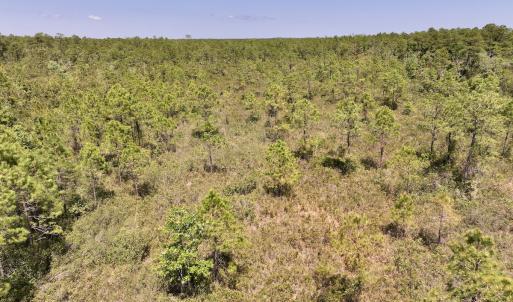 Photo #6 of SOLD property in Off George Road, Havelock, NC 10.4 acres