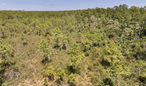Photo #7 of SOLD property in Off George Road, Havelock, NC 10.4 acres