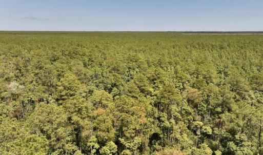 Photo #8 of SOLD property in Off George Road, Havelock, NC 10.4 acres