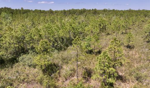 Photo #9 of SOLD property in Off George Road, Havelock, NC 10.4 acres