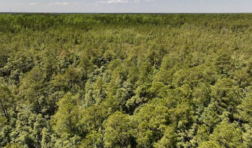 Photo #10 of SOLD property in Off George Road, Havelock, NC 10.4 acres