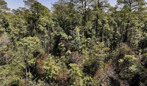 Photo #21 of SOLD property in Off George Road, Havelock, NC 10.4 acres