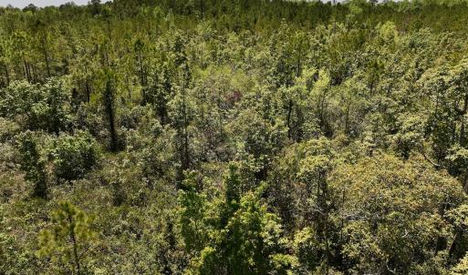 Photo #23 of SOLD property in Off George Road, Havelock, NC 10.4 acres