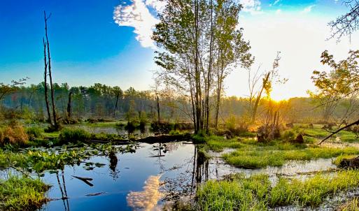 Photo #3 of SOLD property in 1094 Gardners Road, Mineral, VA 23.7 acres