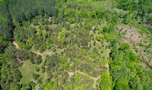 Photo #4 of SOLD property in 1094 Gardners Road, Mineral, VA 23.7 acres