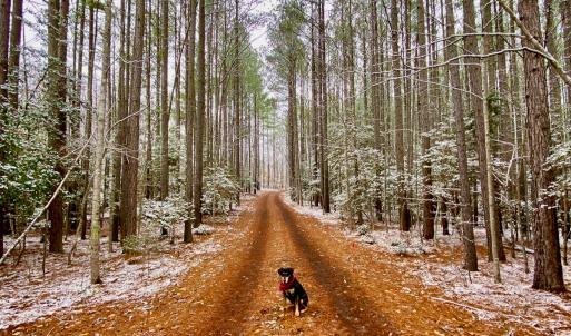 Photo #5 of SOLD property in 1094 Gardners Road, Mineral, VA 23.7 acres