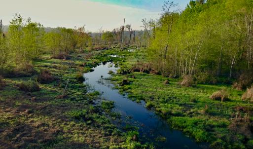 Photo #6 of SOLD property in 1094 Gardners Road, Mineral, VA 23.7 acres