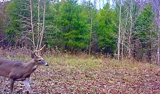 Photo #12 of SOLD property in 1094 Gardners Road, Mineral, VA 23.7 acres