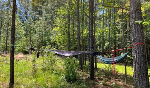 Photo #16 of SOLD property in 1094 Gardners Road, Mineral, VA 23.7 acres