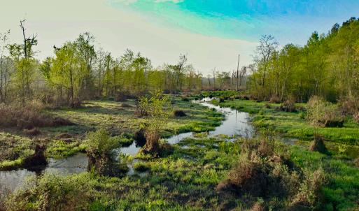 Photo #21 of SOLD property in 1094 Gardners Road, Mineral, VA 23.7 acres