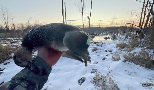 Photo #22 of SOLD property in 1094 Gardners Road, Mineral, VA 23.7 acres