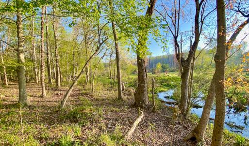 Photo #23 of SOLD property in 1094 Gardners Road, Mineral, VA 23.7 acres