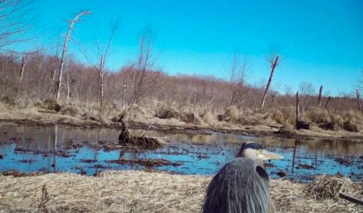 Photo #24 of SOLD property in 1094 Gardners Road, Mineral, VA 23.7 acres