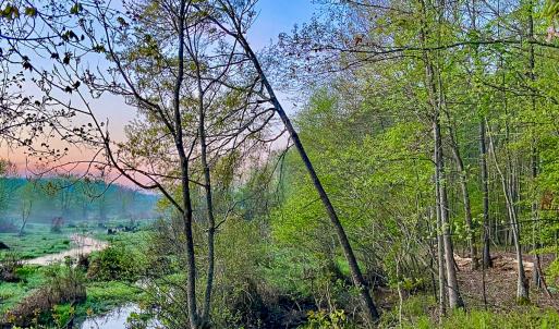 Photo #25 of SOLD property in 1094 Gardners Road, Mineral, VA 23.7 acres