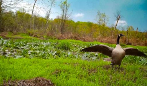 Photo #26 of SOLD property in 1094 Gardners Road, Mineral, VA 23.7 acres