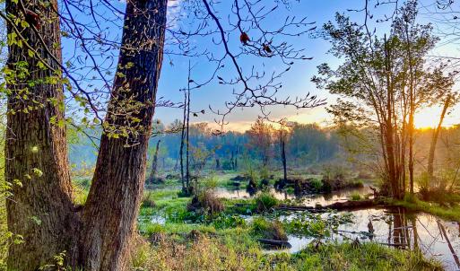 Photo #27 of SOLD property in 1094 Gardners Road, Mineral, VA 23.7 acres