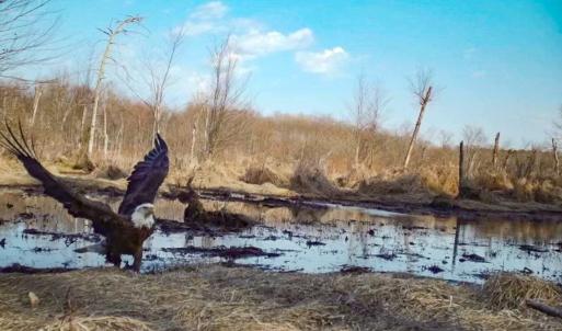 Photo #28 of SOLD property in 1094 Gardners Road, Mineral, VA 23.7 acres