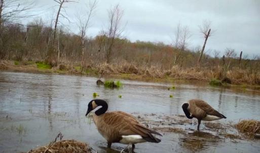 Photo #31 of SOLD property in 1094 Gardners Road, Mineral, VA 23.7 acres