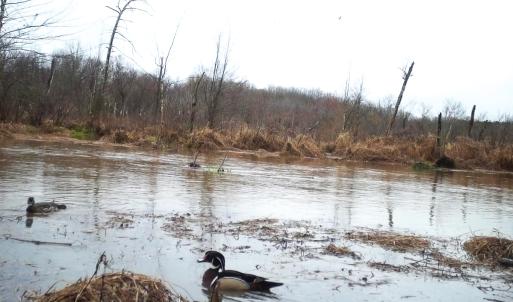 Photo #33 of SOLD property in 1094 Gardners Road, Mineral, VA 23.7 acres